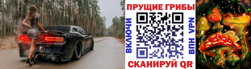 Купить  Омск  Галлюциногенные грибы мицелий 