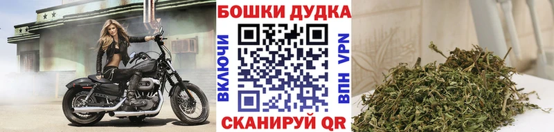 Купить закладки  Омск  МАРИХУАНА SATIVA & INDICA 